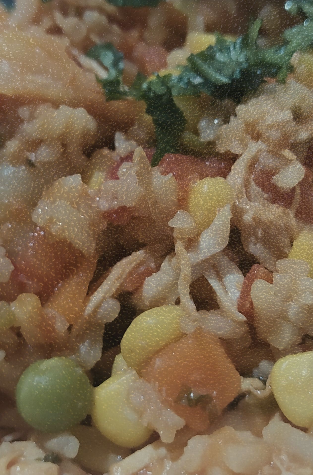 Macro fotografía de arroz con granos de maíz amarillo, trozos de zanahoria y cilantro fresco. Un plano detalle que explora las texturas de la cocina popular y la verdad del ingrediente cotidiano en el archivo KOKOGOA