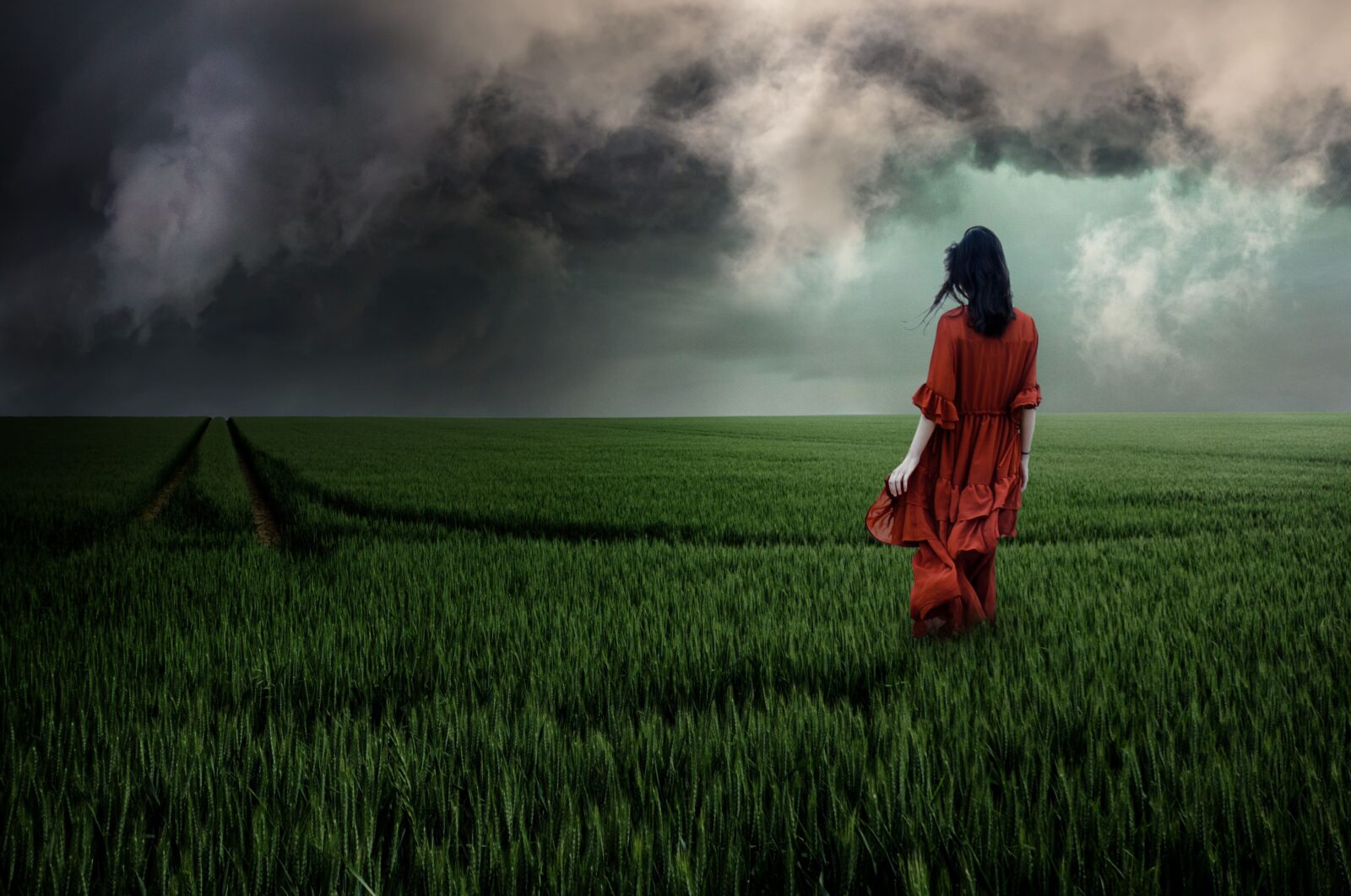Fotografía de una mujer de espaldas con un vestido rojo largo, caminando sola por un inmenso campo de trigo verde. Al fondo, un cielo dramático cubierto de nubes negras de tormenta. La imagen evoca una profunda sensación de soledad y desamparo emocional ante la incertidumbre del horizonte.