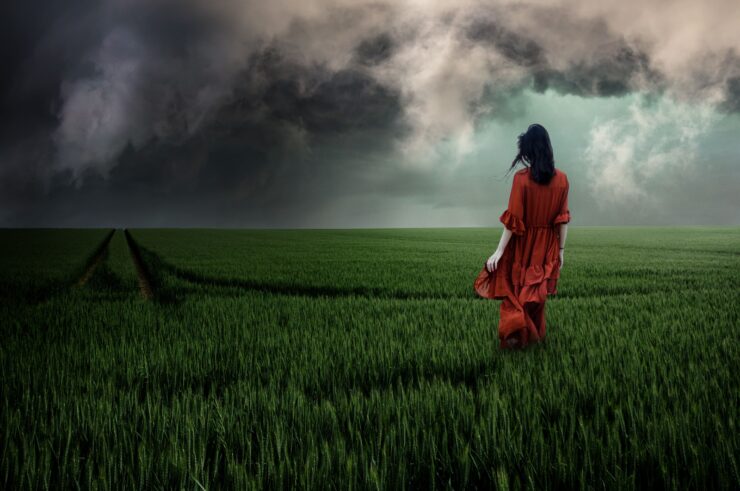 Fotografía de una mujer de espaldas con un vestido rojo largo, caminando sola por un inmenso campo de trigo verde. Al fondo, un cielo dramático cubierto de nubes negras de tormenta. La imagen evoca una profunda sensación de soledad y desamparo emocional ante la incertidumbre del horizonte.