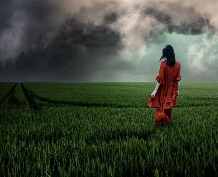 Fotografía de una mujer de espaldas con un vestido rojo largo, caminando sola por un inmenso campo de trigo verde. Al fondo, un cielo dramático cubierto de nubes negras de tormenta. La imagen evoca una profunda sensación de soledad y desamparo emocional ante la incertidumbre del horizonte.
