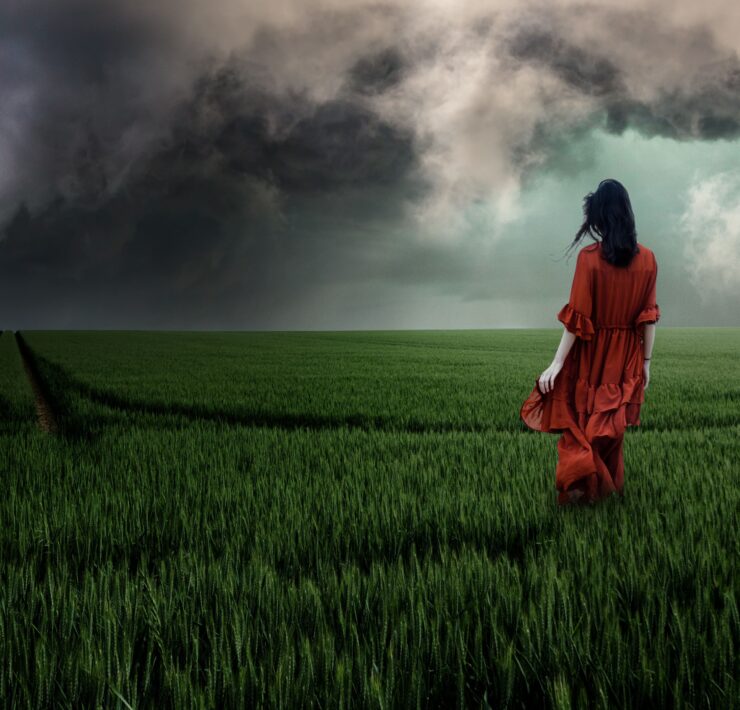 Fotografía de una mujer de espaldas con un vestido rojo largo, caminando sola por un inmenso campo de trigo verde. Al fondo, un cielo dramático cubierto de nubes negras de tormenta. La imagen evoca una profunda sensación de soledad y desamparo emocional ante la incertidumbre del horizonte.