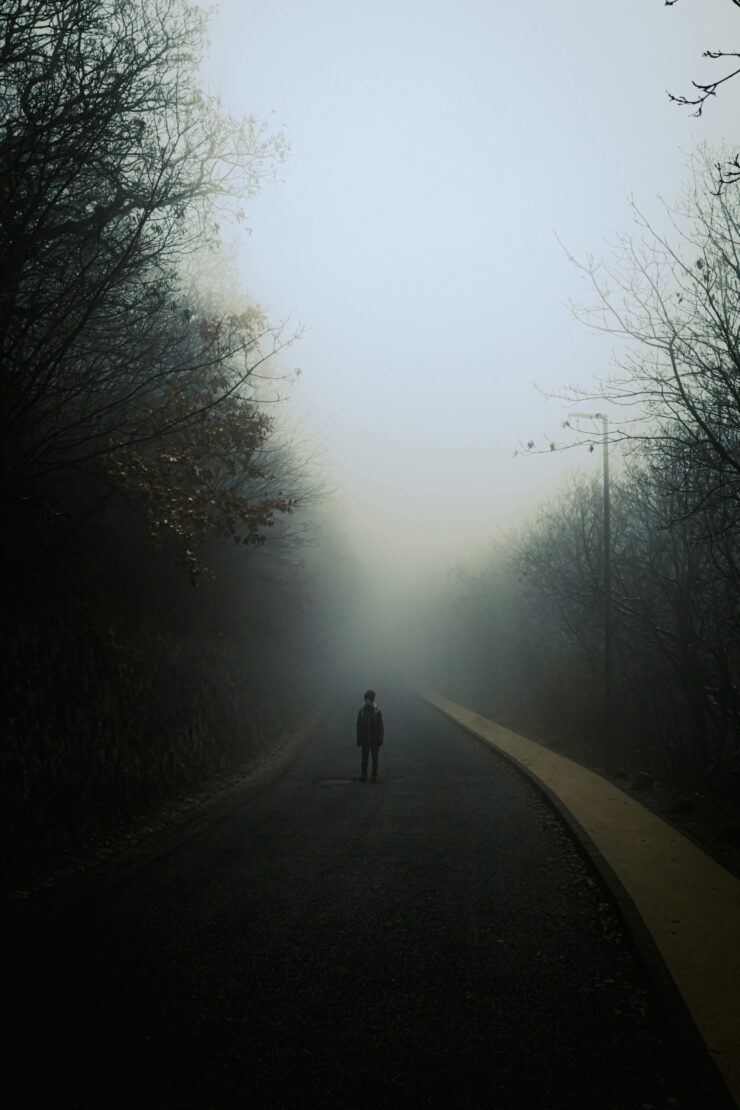 La paradoja humana: Paisaje minimalista envuelto en una niebla densa y blanca que desdibuja el horizonte, donde se ve la sombra de una figura humana, representa la dualidad entre lo eterno y lo mortal, ilustrando la orfandad de identidad y la esencia etérea del alma humana.