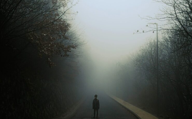 La paradoja humana: Paisaje minimalista envuelto en una niebla densa y blanca que desdibuja el horizonte, donde se ve la sombra de una figura humana, representa la dualidad entre lo eterno y lo mortal, ilustrando la orfandad de identidad y la esencia etérea del alma humana.