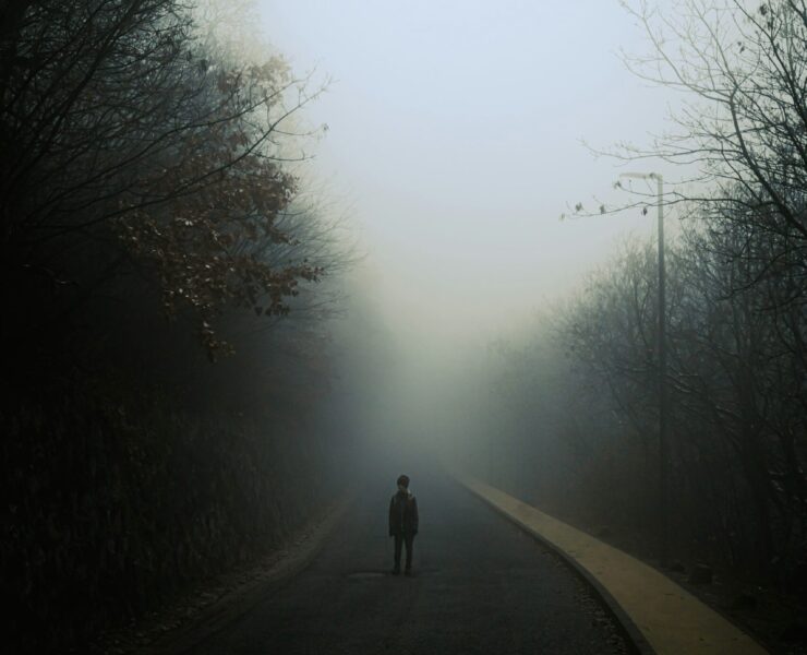 La paradoja humana: Paisaje minimalista envuelto en una niebla densa y blanca que desdibuja el horizonte, donde se ve la sombra de una figura humana, representa la dualidad entre lo eterno y lo mortal, ilustrando la orfandad de identidad y la esencia etérea del alma humana.