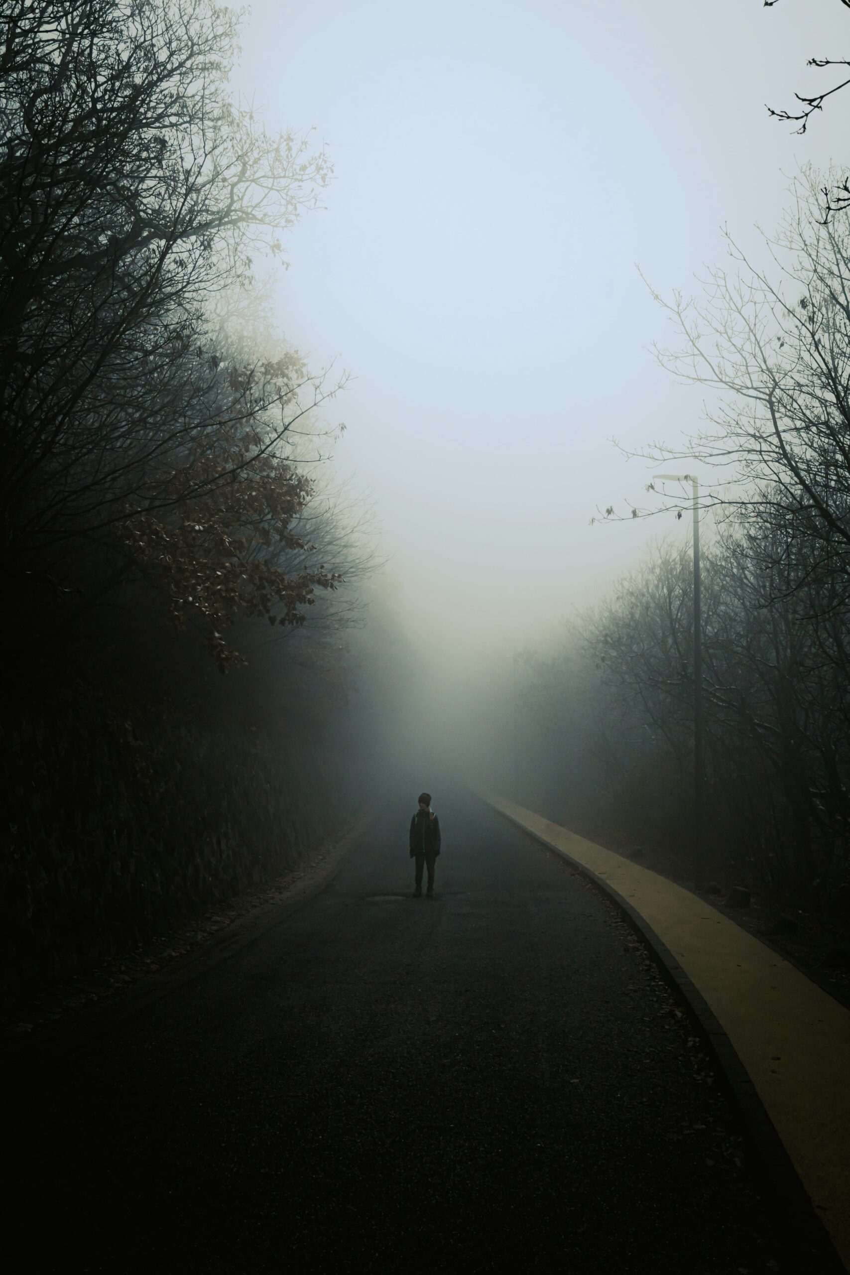 La paradoja humana: Paisaje minimalista envuelto en una niebla densa y blanca que desdibuja el horizonte, donde se ve la sombra de una figura humana, representa la dualidad entre lo eterno y lo mortal, ilustrando la orfandad de identidad y la esencia etérea del alma humana.